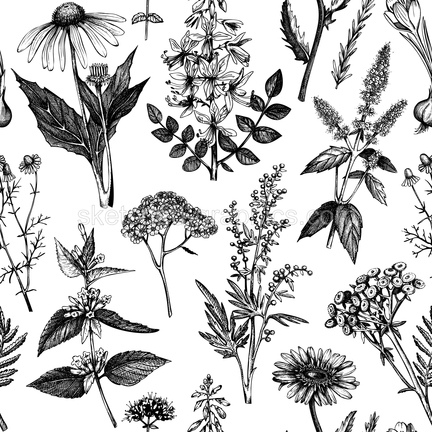 Herbal Seamless Pattern Illustration
